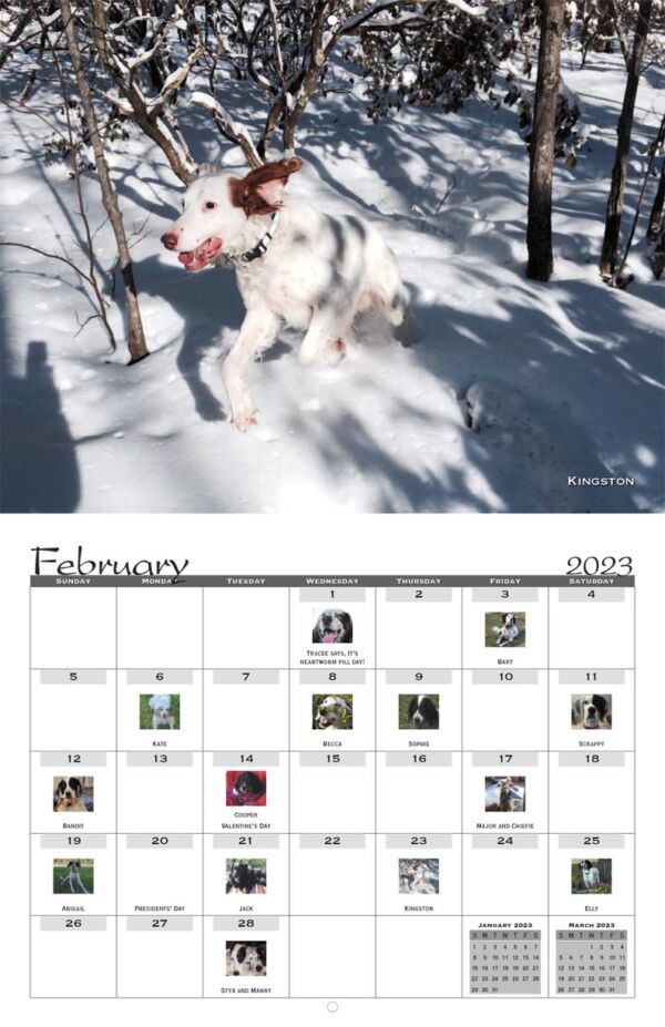 Southwest English Setter Rescue 2023 Calendar Fundraising