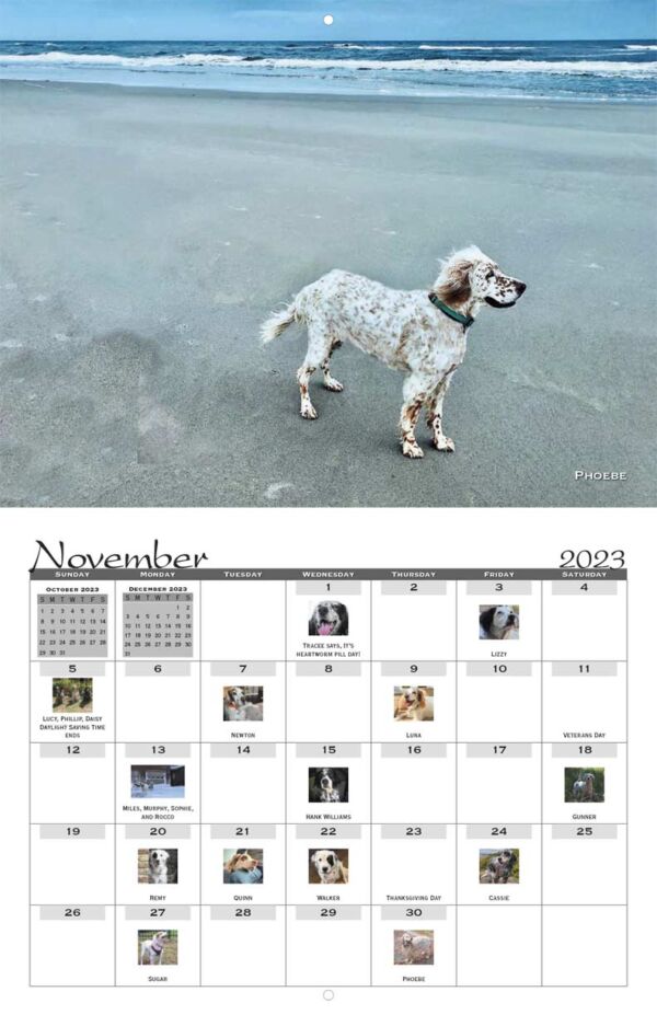 Southwest English Setter Rescue 2023 Calendar Fundraising