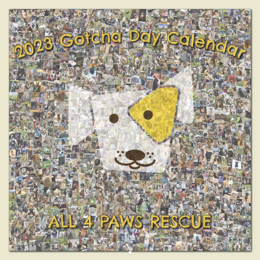 All 4 Paws Rescue 2023 Calendar Fundraising