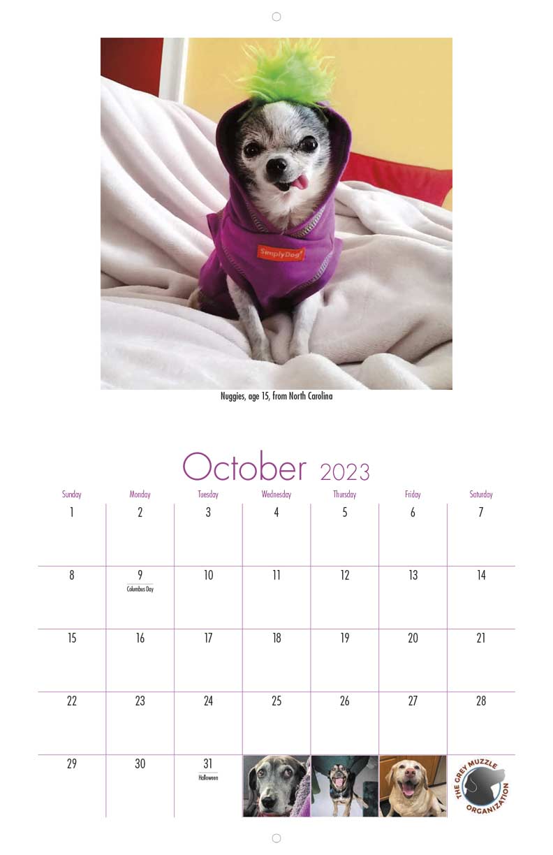 The Grey Muzzle Organization 2023 Calendar Fundraising
