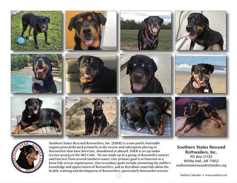 Southern States Rescued Rottweilers 2023 Calendar Fundraising