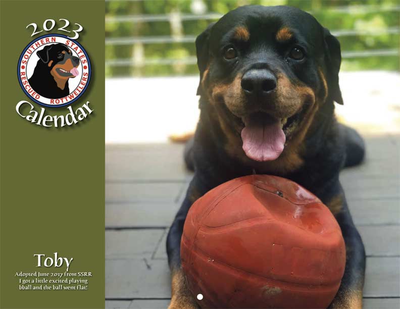 Southern States Rescued Rottweilers 2023 Calendar Fundraising