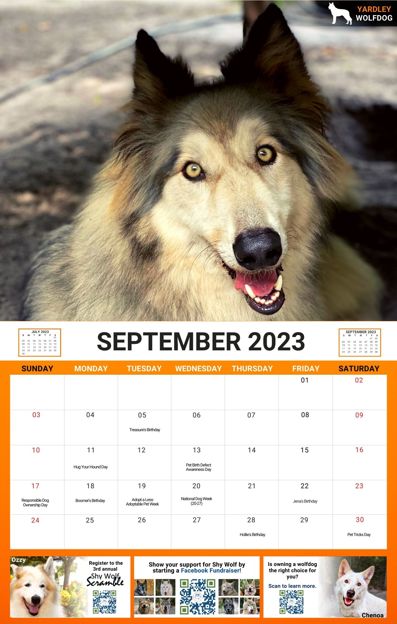 shy-wolf-sanctuary-2023-calendar-fundraising