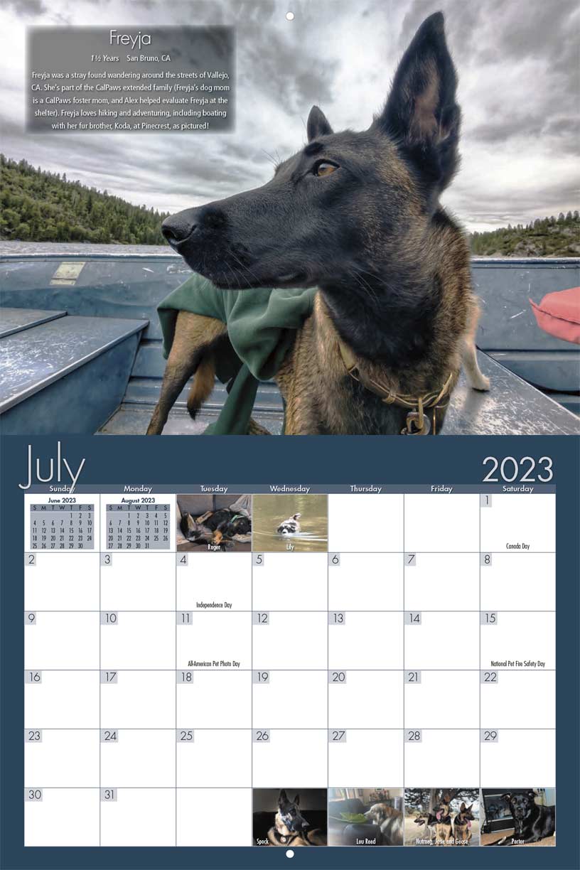 CallPaws K9 Rescue 2023 Calendar Fundraising
