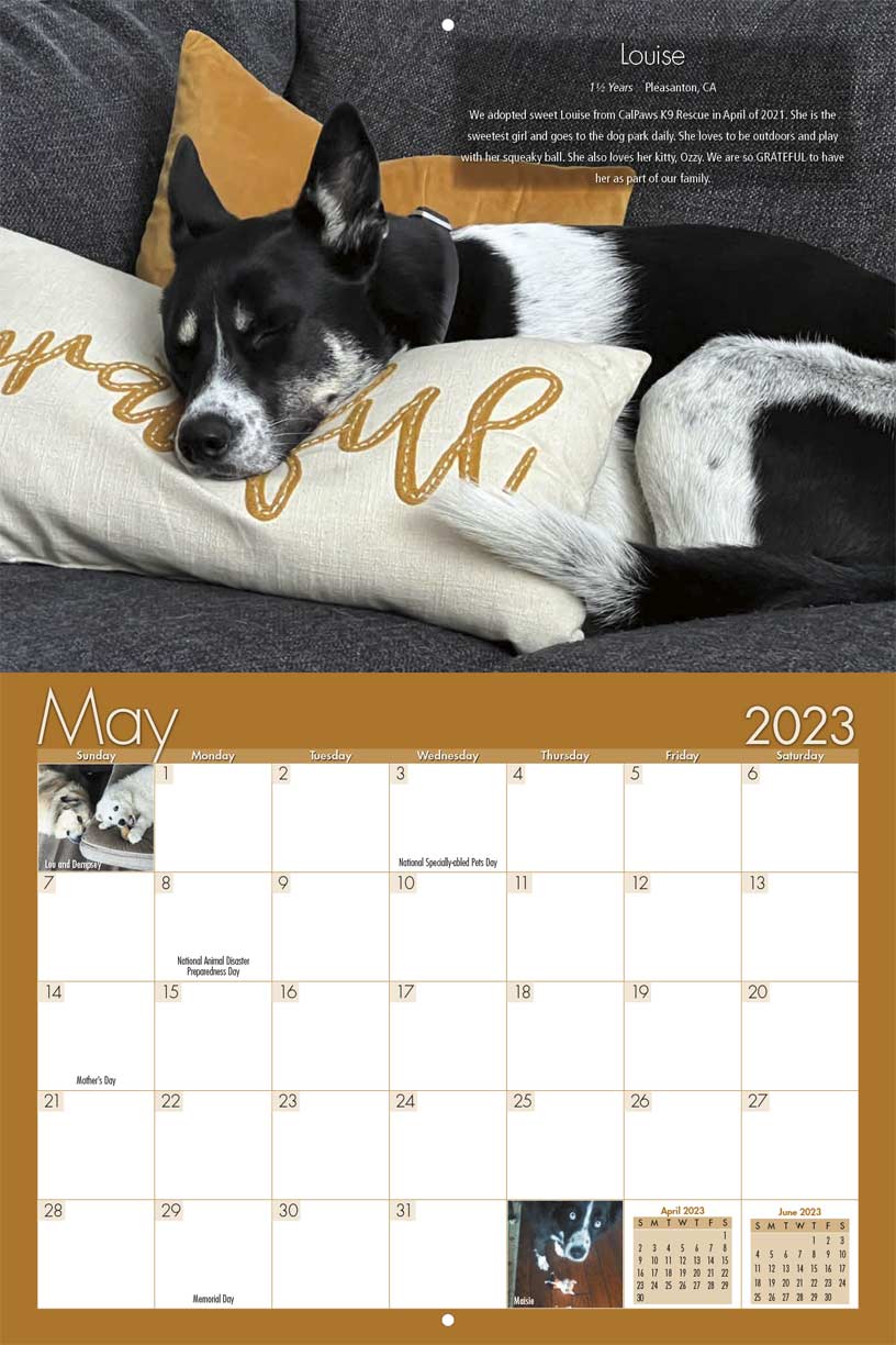 CallPaws K9 Rescue 2023 Calendar Fundraising