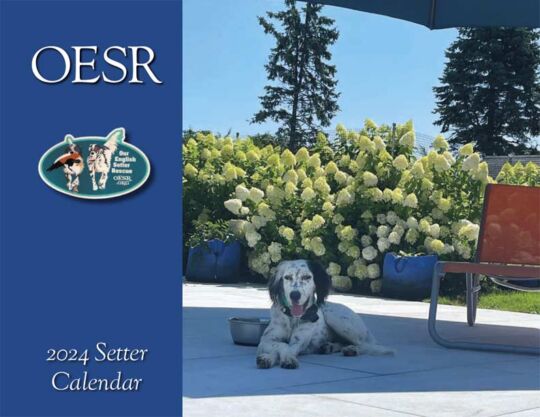 OESR 2024 Calendar Cover