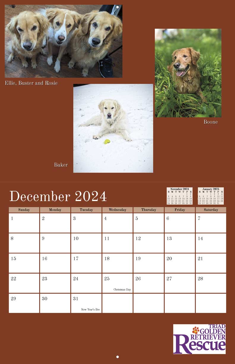 Triad Golden Retriever Rescue 2024 Calendar Fundraising
