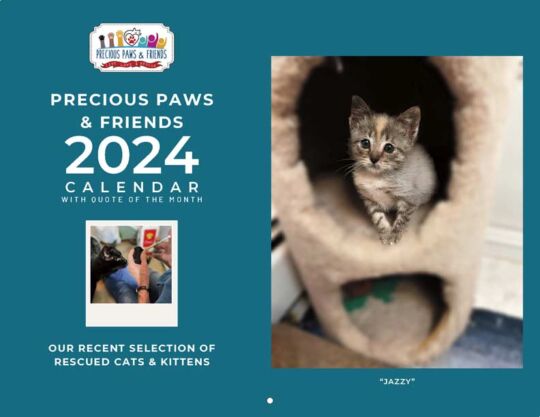 Precious Paws And Friends 2024 Calendar Cover