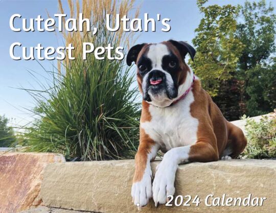 Utah Humane Society 2024 Calendar Cover
