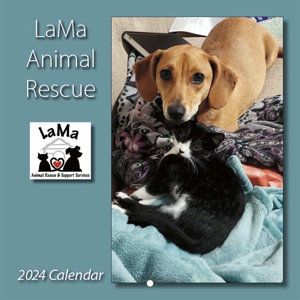 LaMa Animal Rescue Yearbox Calendars