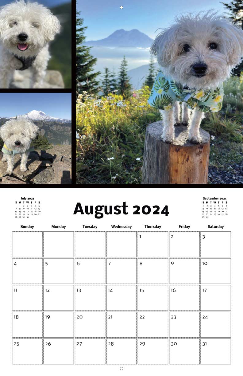 Largent the Adventure Dog 2024 Calendar - Yearbox Calendars