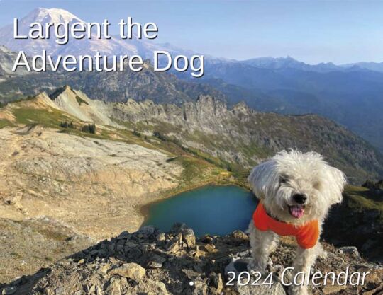 Largent Adventure Dog 2024 Calendar Cover