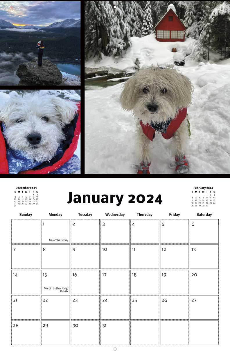 Largent the Adventure Dog 2024 Calendar - Yearbox Calendars