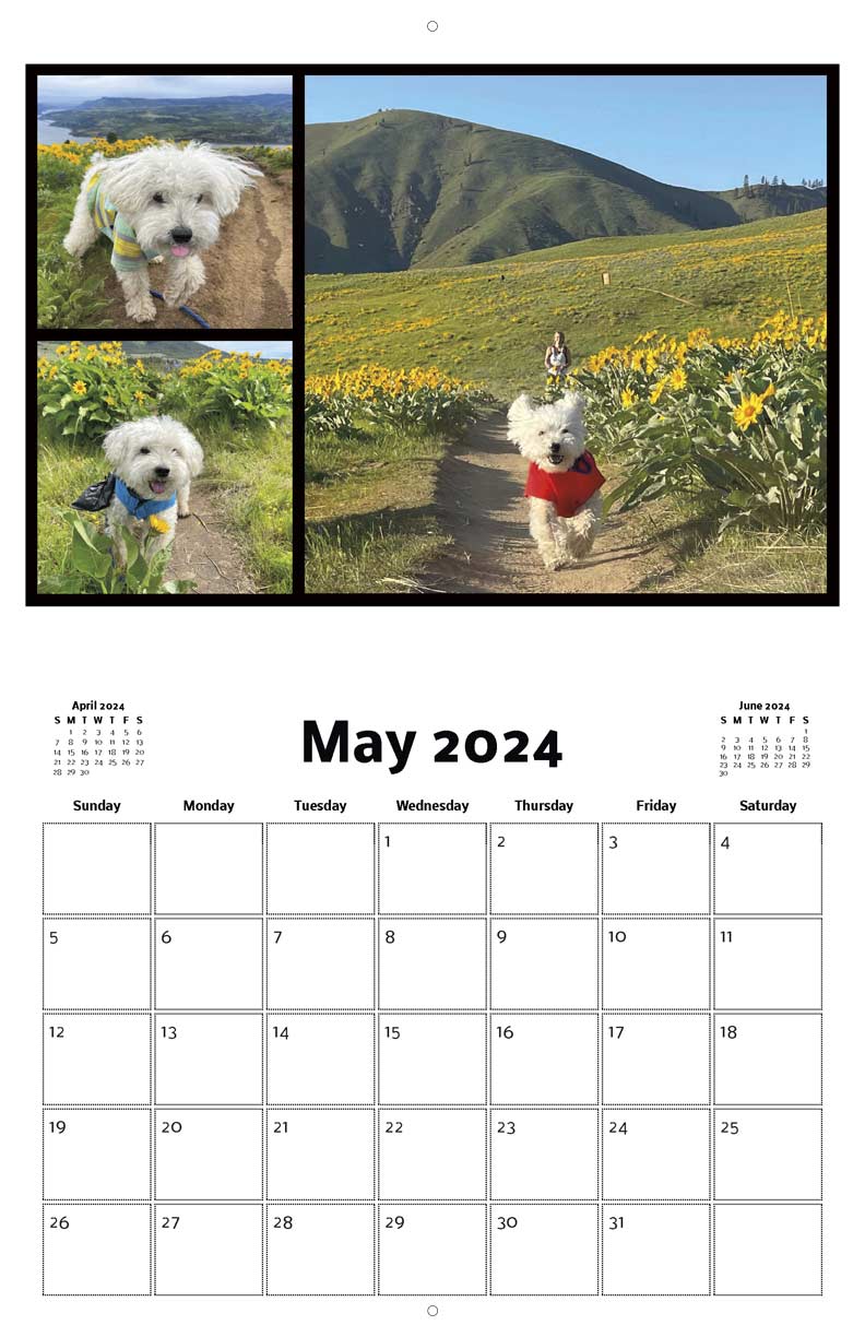 Largent the Adventure Dog 2024 Calendar - Yearbox Calendars