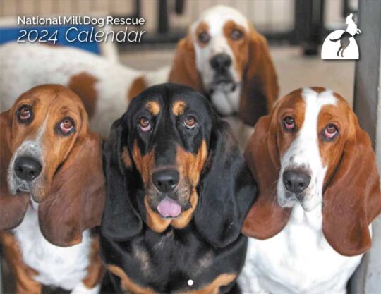 National Mill Dog Rescue 2024 Calendar Cover