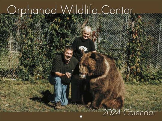 Orphaned Wildlife Center 2024 Calendar Cover