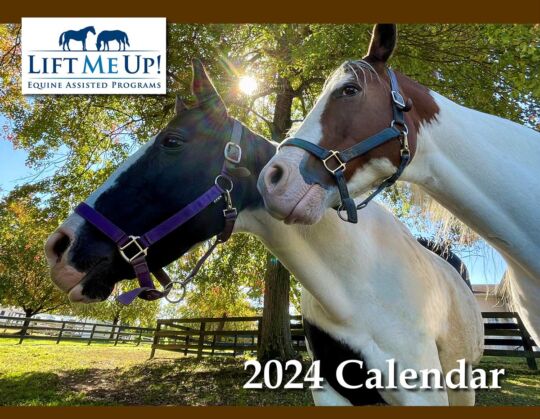 Lift Me Up 2024 Calendar Cover
