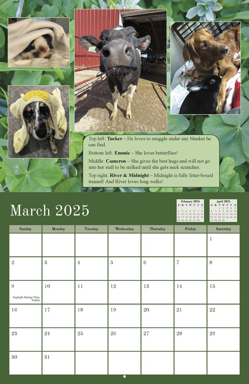 UWRiver Falls PreVet Club 2025 Calendar Yearbox Calendars