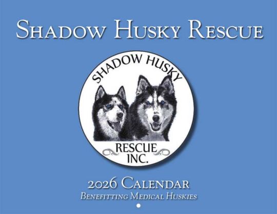 Shadow Husky Rescue 2026 Calendar Cover
