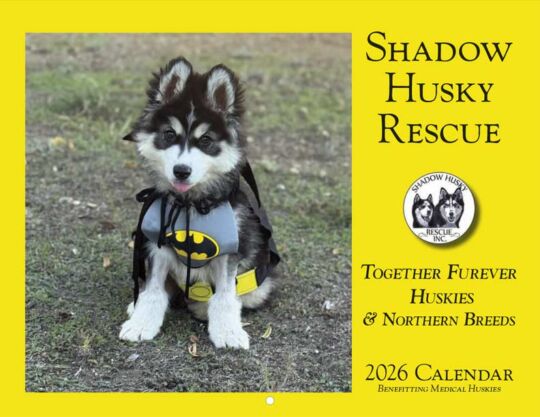 Shadow Husky Rescue 2026 Calendar Cover