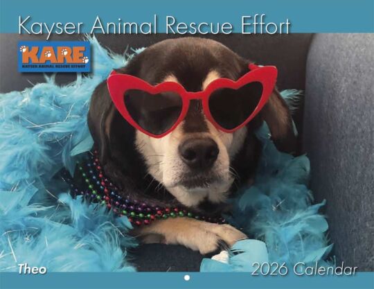 Kayser Animal Rescue Effort 2026 Calendar Cover