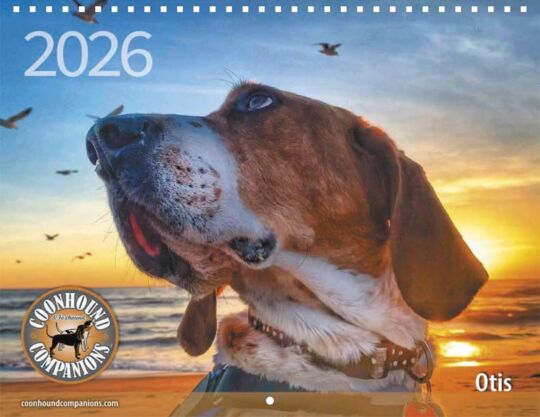 Coonhound Foxhound Companions 2026 Calendar Cover