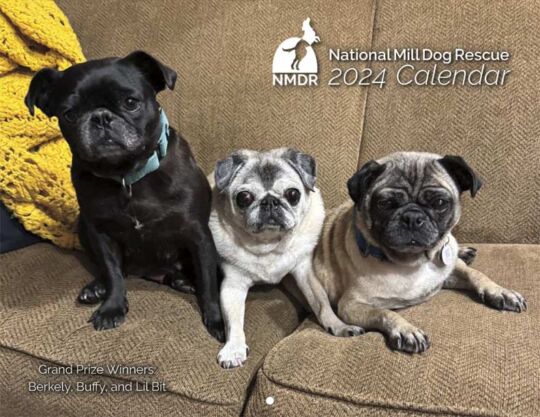 National Mill Dog Rescue 2026 Calendar Cover