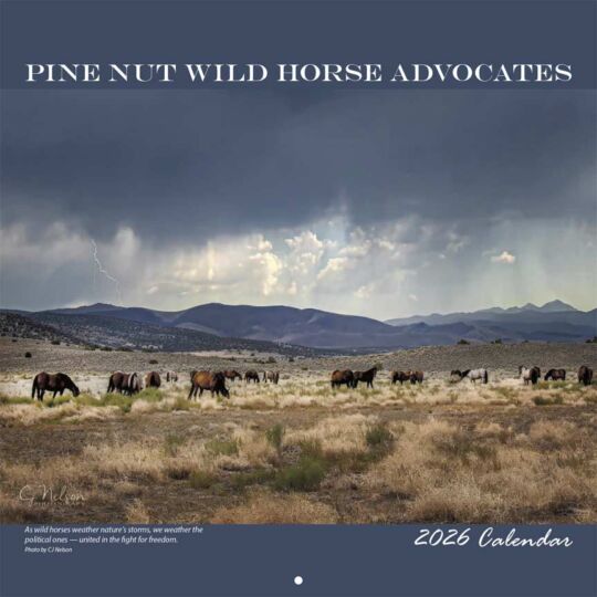 Pine Nut Wild Horse Advocates 2026 Calendar Cover