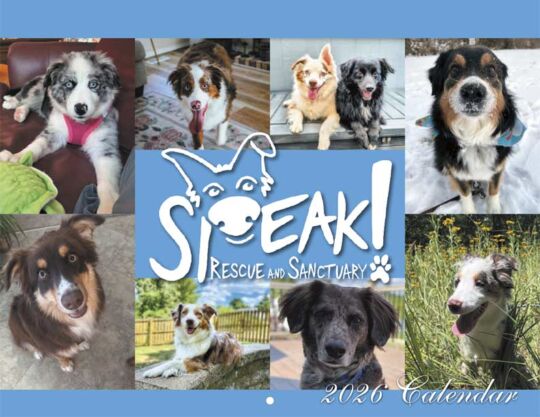 Speak Rescue And Sanctuary 2026 Calendar Cover