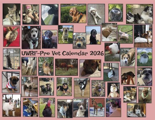 UW River Falls Pre Vet Club 2026 Calendar Cover