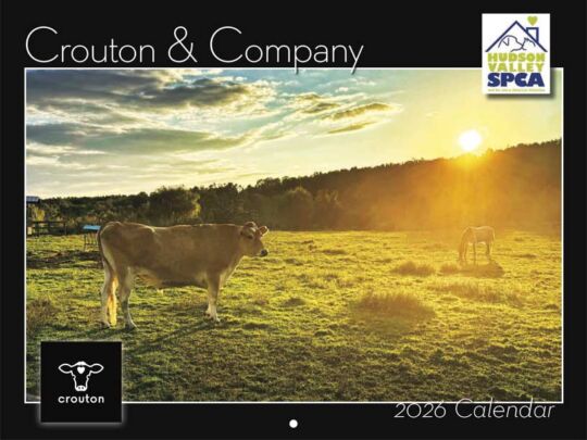 Crouton And Company 2026 Calendar Cover