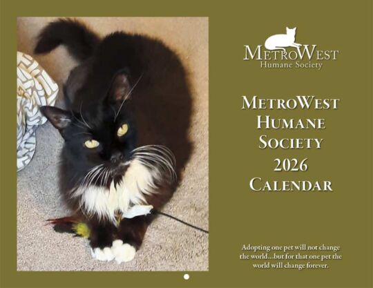 Metrowest Humane Society 2026 Calendar Cover