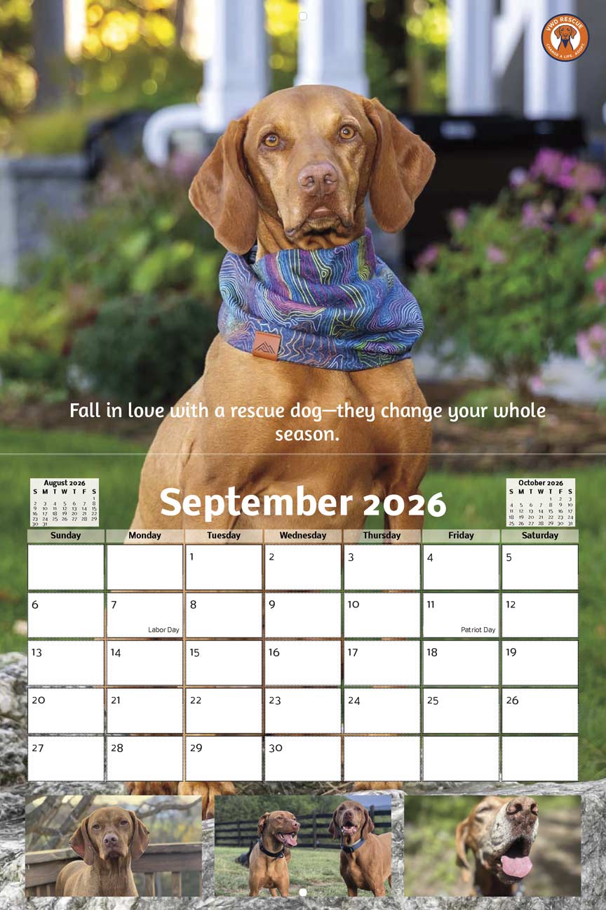 Viz Whizz Dogs Rescue 2026 Calendar Yearbox Calendars
