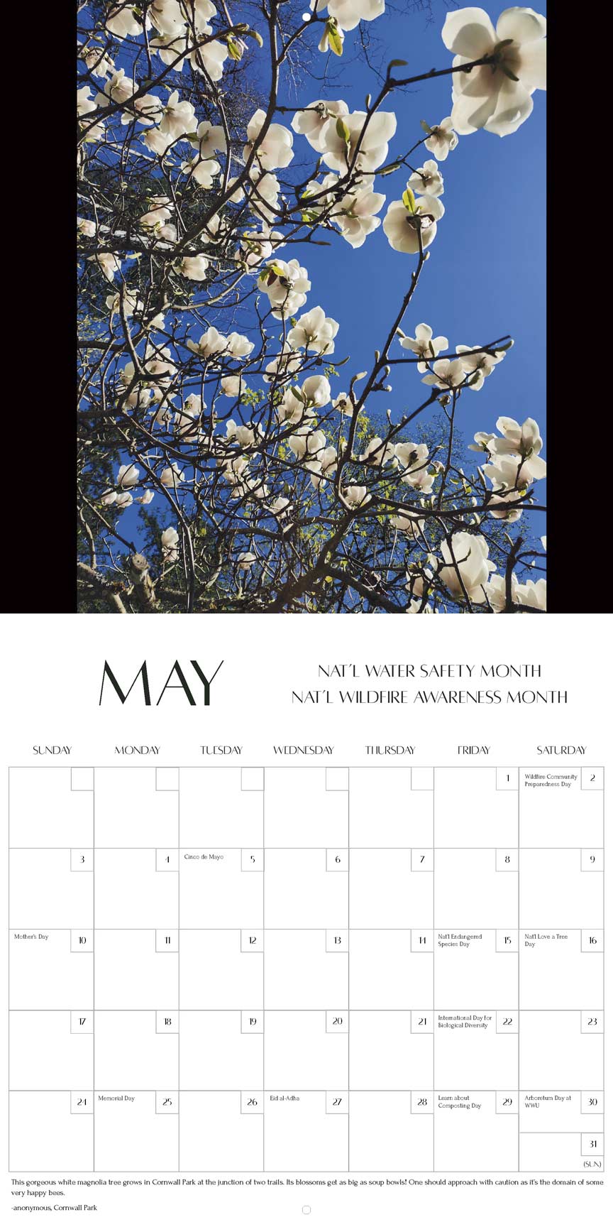 2026 Trees Wall Calendar – Monthly Photos Of Magnificent Trees, 12x12 Inch, Thick Gloss Paper