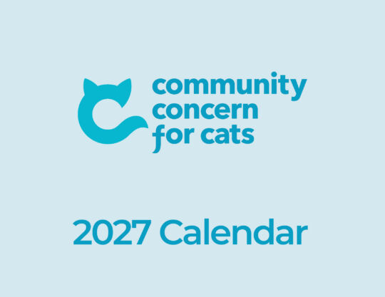 Cccats Calendar Cover