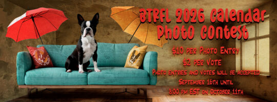 BTRFL Calendar Contest Banner