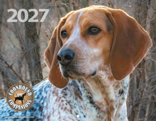 Coonhound & Foxhound Companions 2026 Calendar Cover