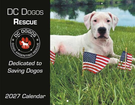 Dc Dogos Rescue 2027 Calendar Cover