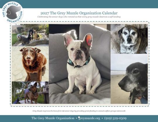 Grey Muzzle Organization 2027 Calendar Cover
