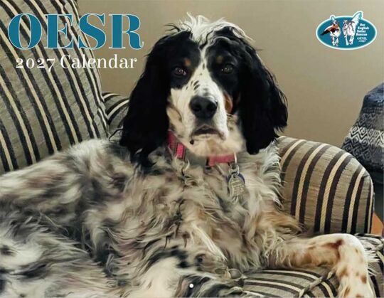 OESR 2027 Calendar Cover