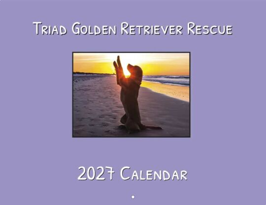 Triad Golden Retriever Rescue 2027 Calendar Cover