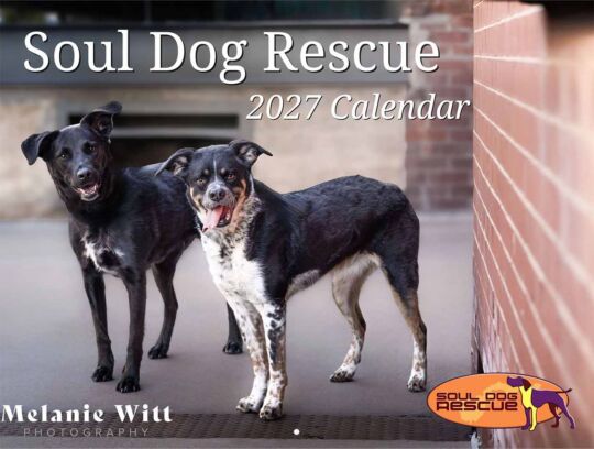 Soul Dog Rescue 2027 Calendar Cover